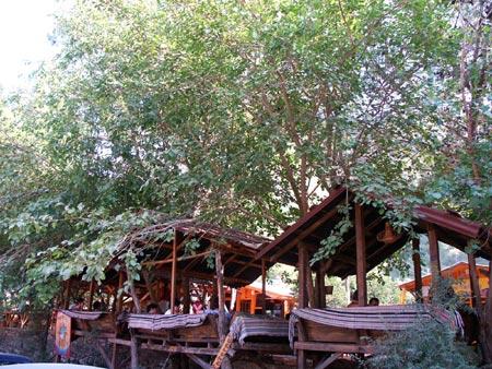 TURKMEN TREE HOUSES